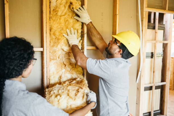 Reliable Warsaw, VA Insulation Solutions